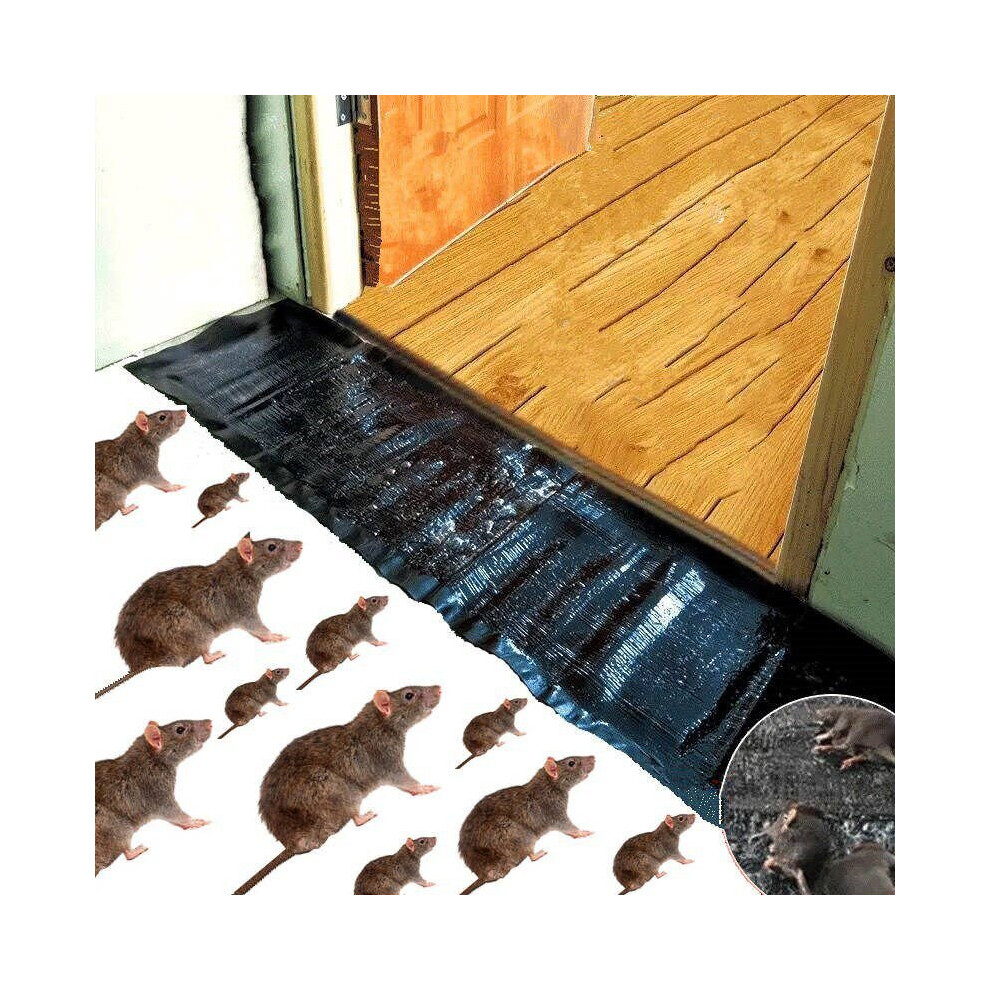 Mouse Rat Trap Bug Terminator Large Snake Trap
