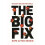 The Big Fix Hope After Heroin 1