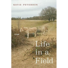 Life in a Field - Poems | Paperback