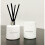 Wonderwick Blanc Glass Candle - Coconut & Mango 1