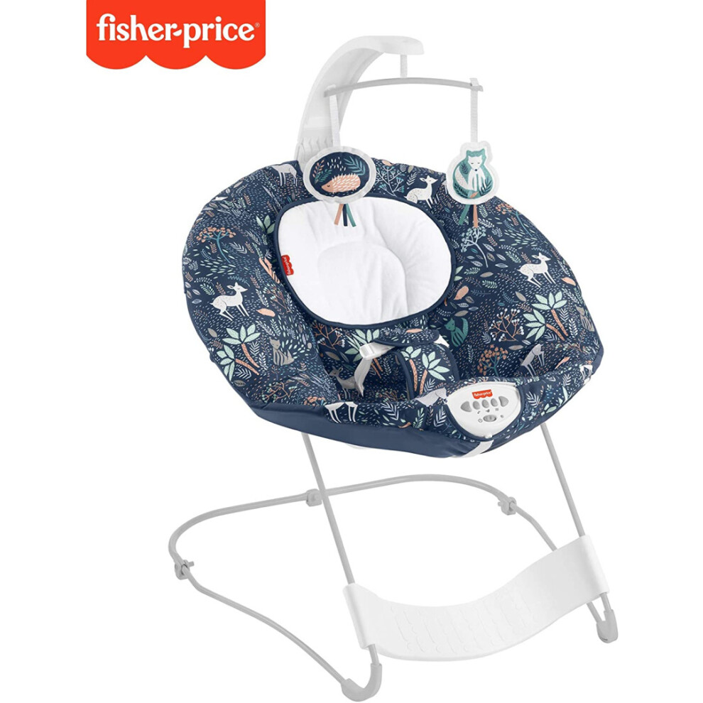 Fisher-Price HBF25 See and Soothe Deluxe Bouncer  [HBF25]