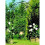 Black Garden Arch 2.4m  For Roses & climbing Plants 1