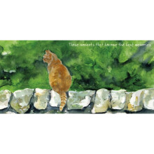 Become Best Memories Little Dog Laughed Greeting Card Blank Inside Any Occasion