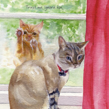 Don't Trust The Cat Little Dog Laughed Greeting Card Blank Inside Any Occasion
