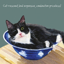 One Eyed Cat Little Dog Laughed Greeting Card Blank Inside Any Occasion