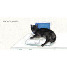 Now Try To Ignore Me Little Dog Laughed Greeting Card Blank Inside Any Occasion