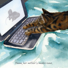 Sam The Tabby Cat Little Dog Laughed Greeting Card Blank Inside Any Occasion