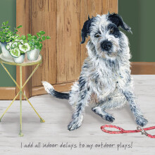 Border Collie Pointer Little Dog Laughed Greeting Card Blank Inside Any Occasion