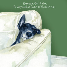 Tired Greyhound Little Dog Laughed Greeting Card Blank Inside Any Occasion