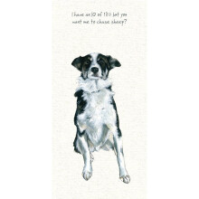 Want To Chase Sheep Little Dog Laughed Greeting Card Blank Inside Any Occasion