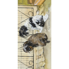 Five Minutes She Said Little Dog Laughed Greeting Card Blank Inside Any Occasion
