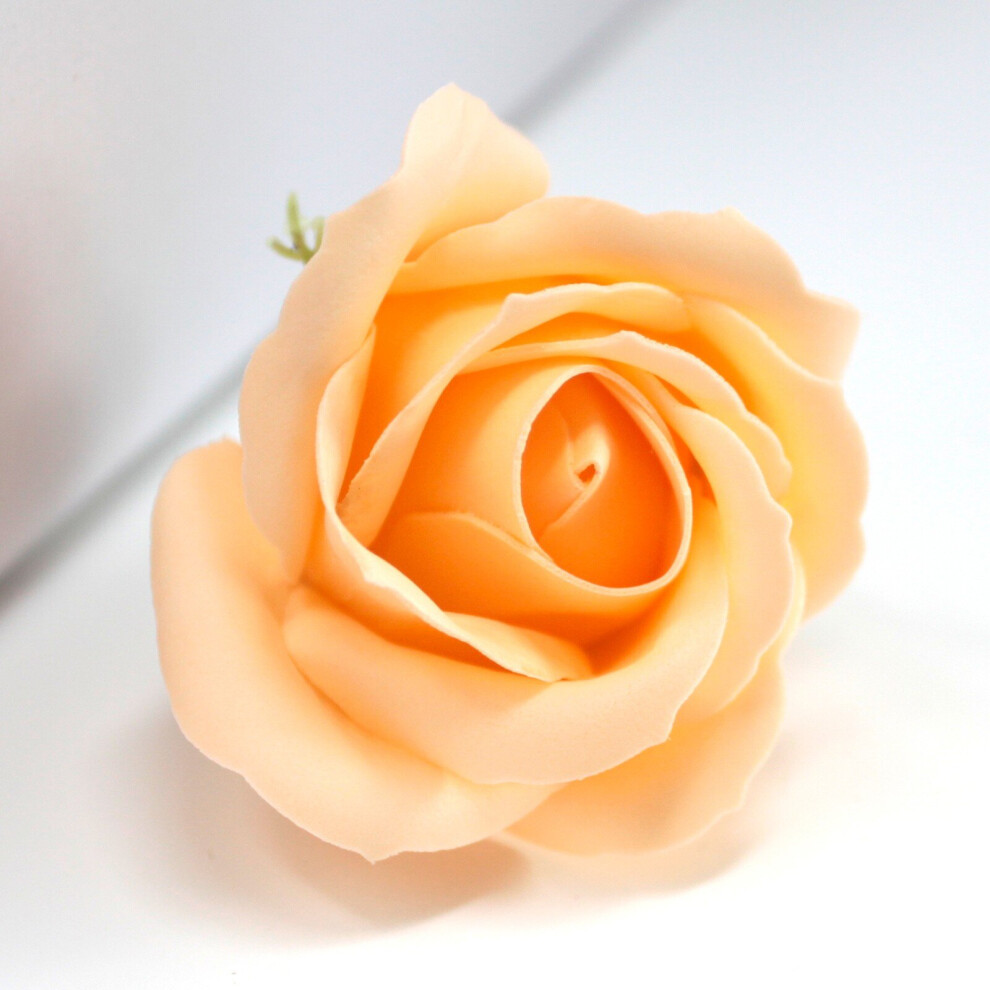 Ancient Wisdom Peach (Peach) Craft Soap Flowers 10 Pcs Box -Medium Rose