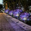 (Colorful) 2PC 120 LED Solar Powered Firework Starburst Stake Light 2