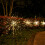 (Warm White) 2PC 120 LED Solar Powered Firework Starburst Stake Light 1