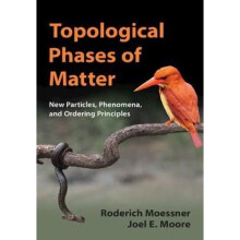 Topological Phases of Matter | Hardback