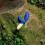 LELO LELO LOKI Wave Vibrating Prostate Massager Federal Blue 6