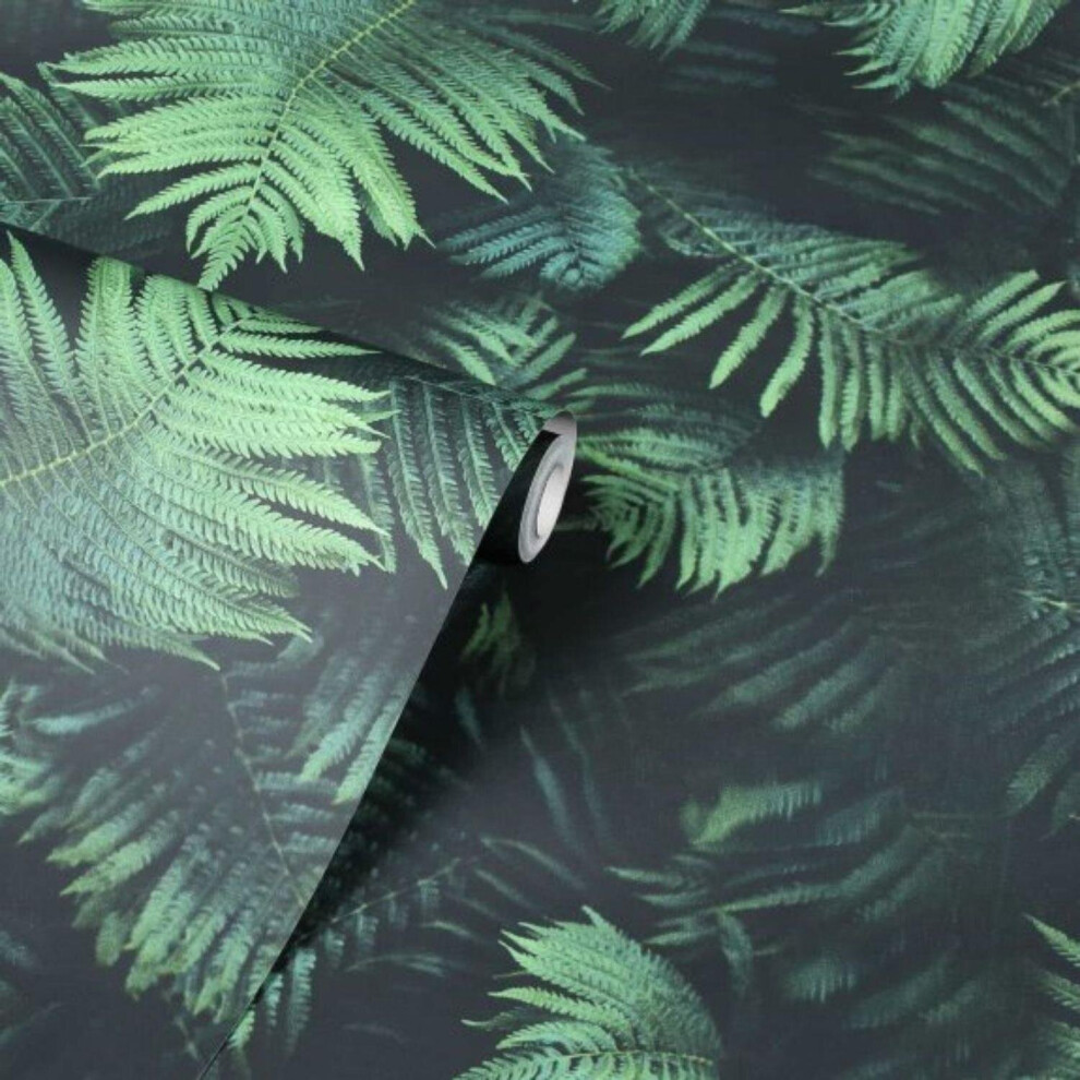 Arthouse And Fern Wallpaper Smooth Finish Feature Wall Black/Green