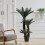 Living And Home 125CM Large Artificial Cycas Tree Plant with Pot 2