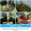 Solar Panel Powered Water Pump Small Pool Pond Aquarium Fountain Spray Feature 2