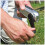 Silverline Silverline LED Wind-Up φακός 15 Lumens 4
