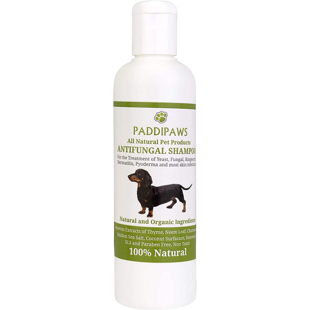 100% Natural Antifungal and Antibacterial Dog Shampoo - Yeast Infections, Ringworm, Dermatitis, Pyoderma - Safe - Natural - Paraben and SLS