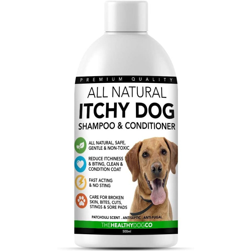 Dog shampoo for 2024 itchy skin homemade