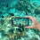 Lanhiem iPhone 11 Pro Case, IP68 Waterproof Dustproof Shockproof Case with Built-in Screen Protector, Full Body Protective Front and Clear C 2