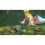Nintendo Monster Hunter Stories 2: Wings of Ruin (Switch) 5