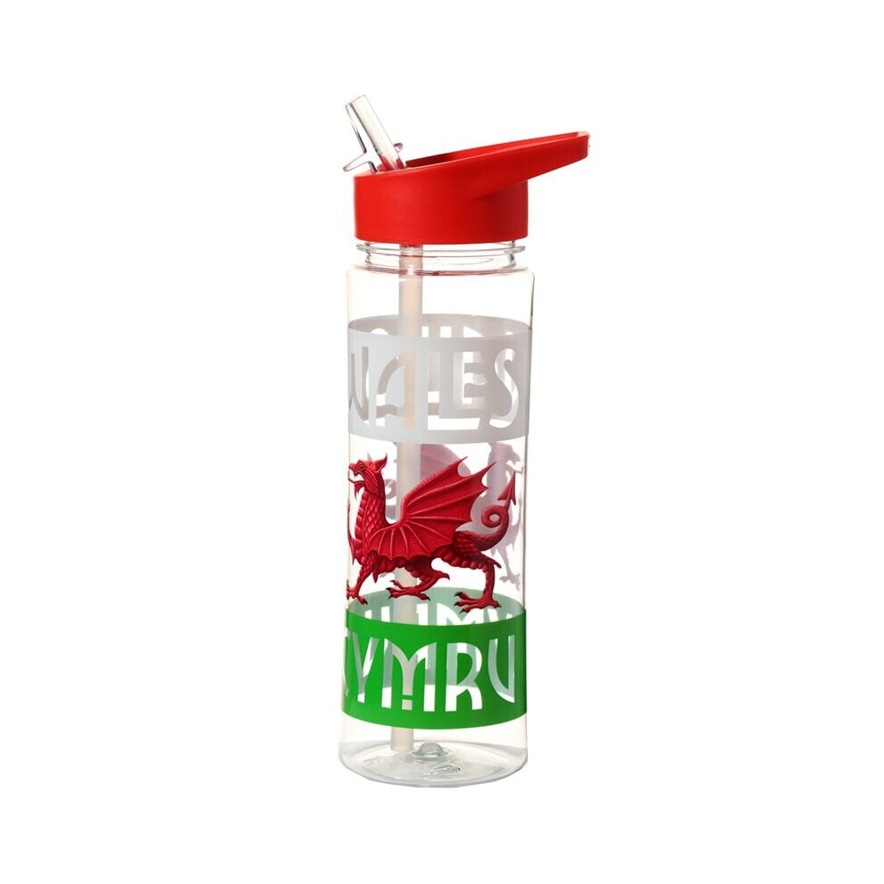 Puckator Reusable Welsh Dragon Wales Cymru 550Ml Water Bottle