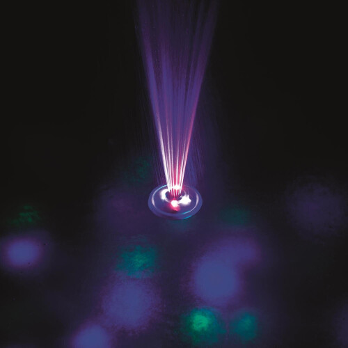 Bestway Luce LED per piscina con fontana integrata Bestway 58493