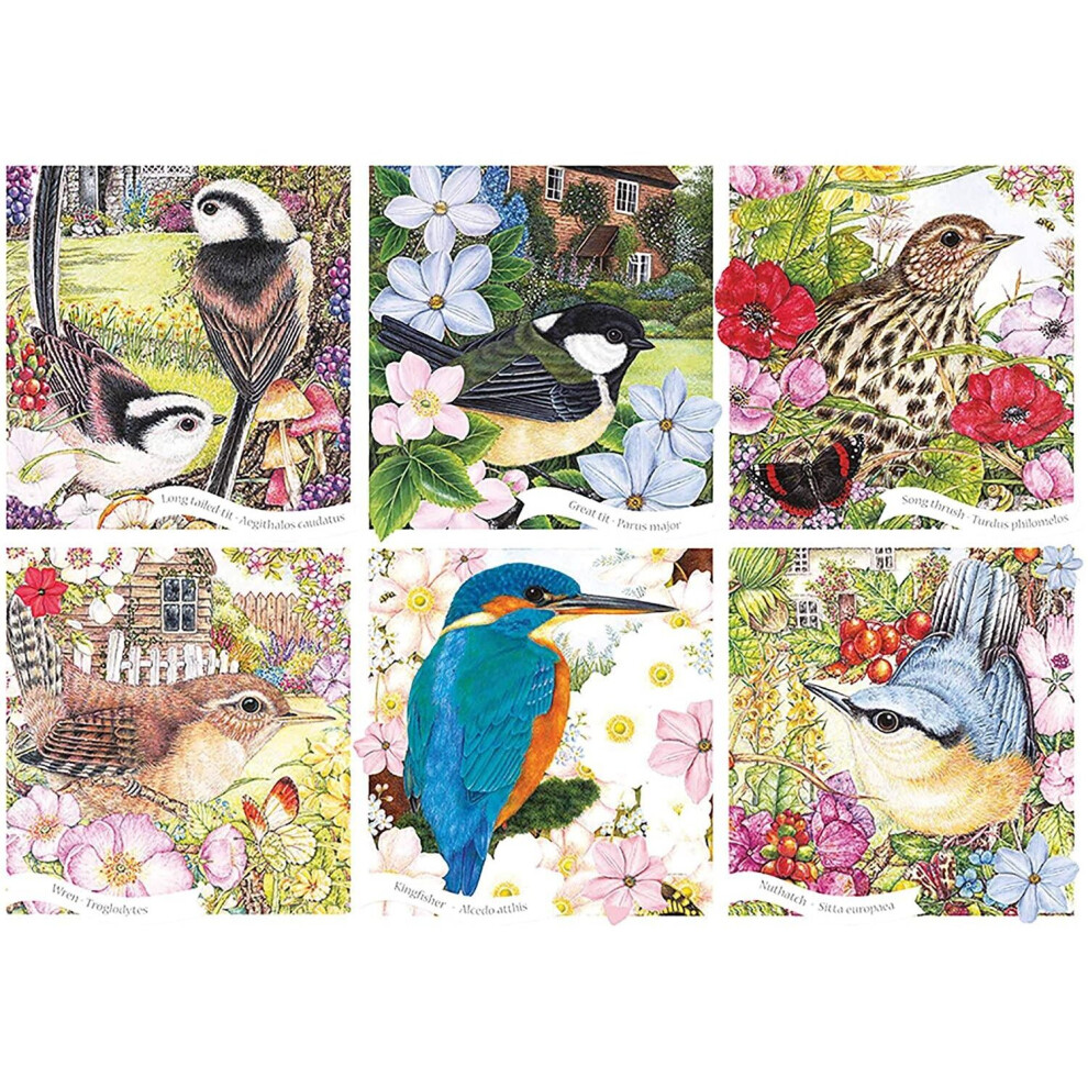 Otter House RSPB Garden Birds Jigsaw Puzzle (1000 Pieces)