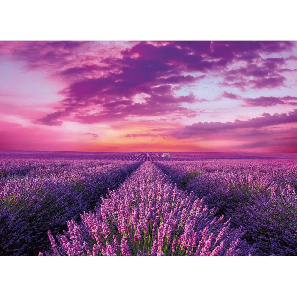 Clementoni Field High Quality Jigsaw Puzzle (1000 Pieces) Lavender