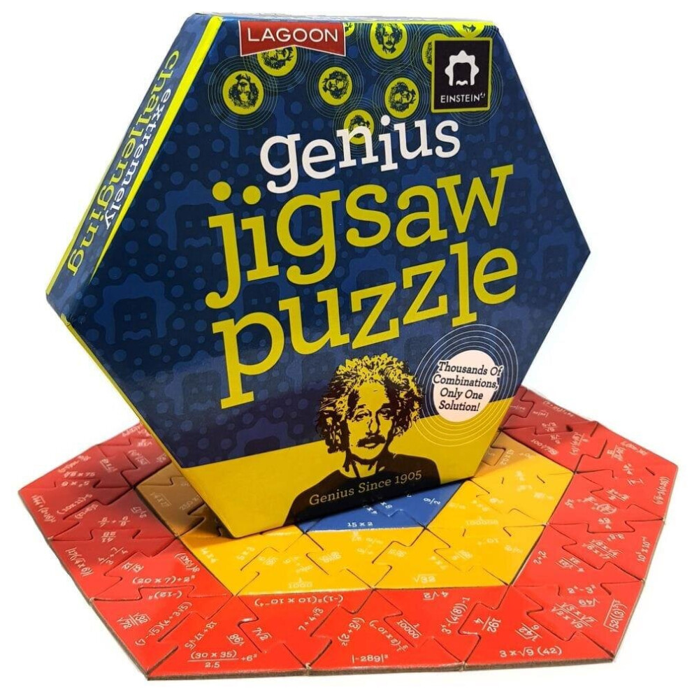 Paul Lamond Games The Einstein Genius Jigsaw Puzzle