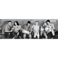 Clementoni Friends Panorama Jigsaw Puzzle (1000 Pieces)