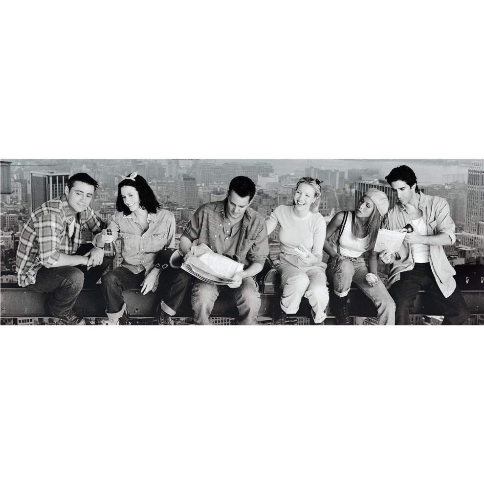 Clementoni Friends Panorama Jigsaw Puzzle (1000 Pieces)
