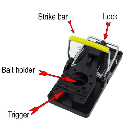 DWD Mousetrap 6-Pack for Indoor Outdoor Use 1