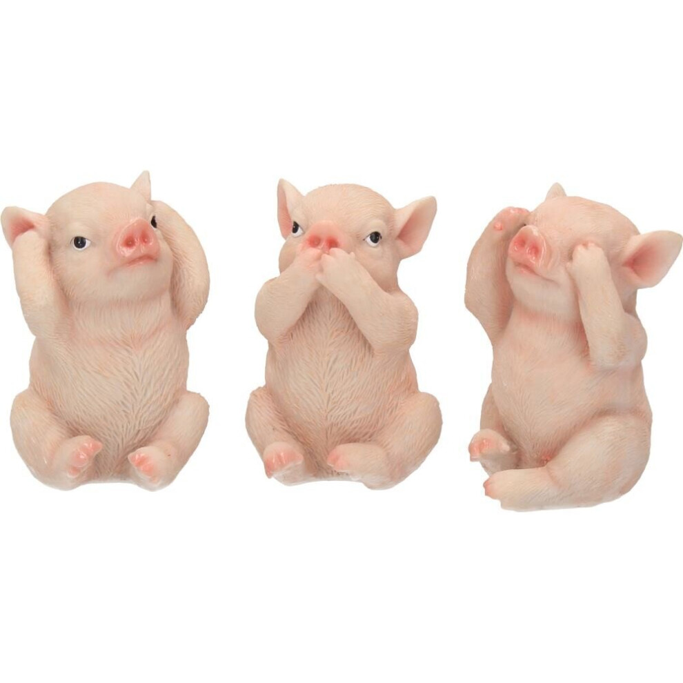 Nemesis Now Three Wise Pigs Figurine