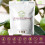 Olive Leaf Extract 450mg x 30 Tablets (30mg Oleuropein) - Botanical 6