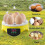 Mini Egg Incubator 7 Eggs With Automatic Temperature  Control LED Digital Intelligent Incubator 1