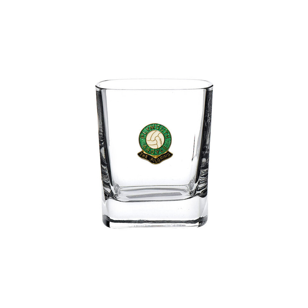 Plymouth Argyle football club mixer glass