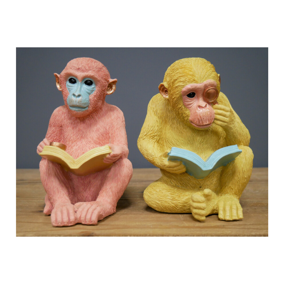 Pair of Resin Colourful Monkey Bookends