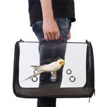 (Small) Youngshion Lightweight Transparent Bird Travel Carrier Portable Parrot Cage Handbag with Shoulder Strap and Wooden Perch
