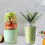 Για Nutribullet Αντικατάσταση μεγάλης κούπας 24oz 600/900w Ανταλλακτικό μεγάλο κύπελλο 7