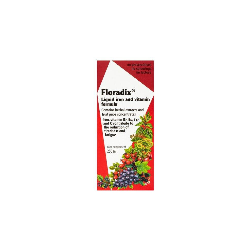 Salus Floradix Kids Iron & Vitamin Formula 250Ml