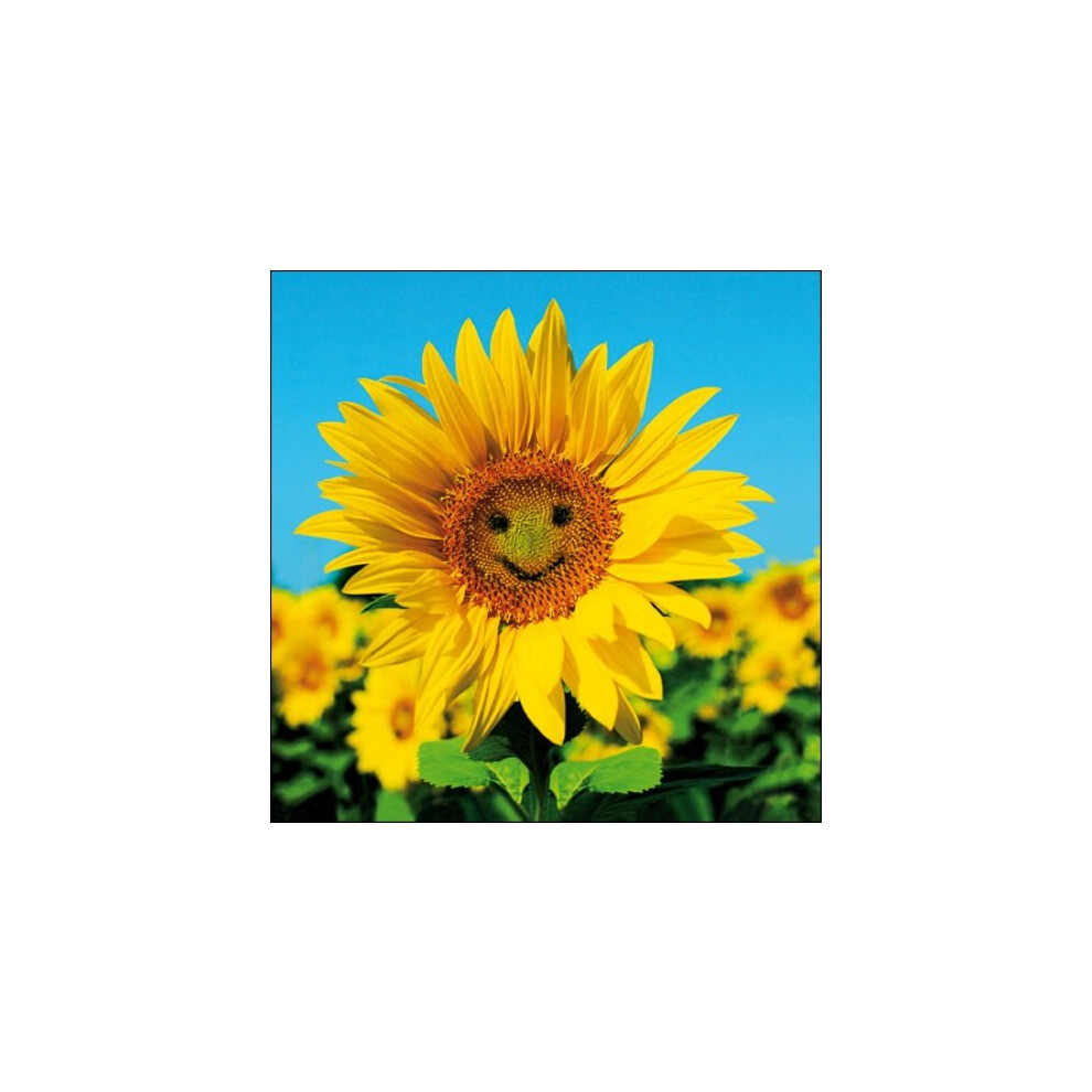 Sunny Sunflower Framed Photo Art Greeting Card Blank Inside Any Occasion