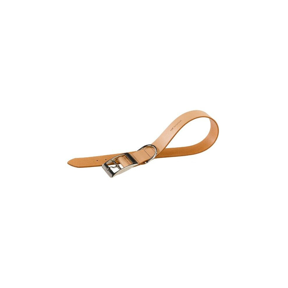 dog collar Natural 37-45 x 2,5 cm artificial leather brown