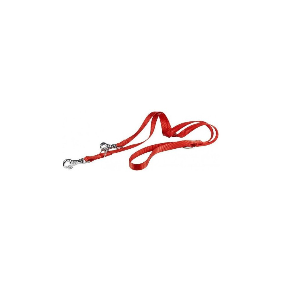 dog line Club-GA 200 x 2.5 cm nylon/steel red