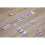 dice game Earthworms 5