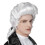 Baroque men's wig 1