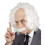 Einstein wig for men 1